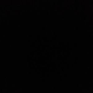 Meet your Posher, Alan